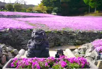 花のじゅうたんの写真・動画_image_74232