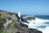 元乃隅神社の写真・動画_image_89656