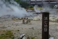 雲仙地獄の写真・動画_image_92410