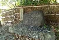 レリッシュの写真・動画_image_99997