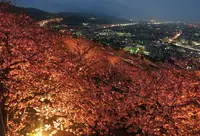 松田山ハーブガーデンの写真・動画_image_129570