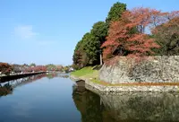 お堀をぐるりと歩いてみるの写真・動画_image_132812