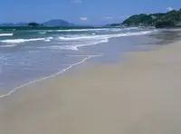 姉子の浜（鳴き砂）の写真・動画_image_143596