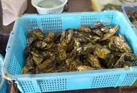 海の駅しおさい市場の写真・動画_image_161665