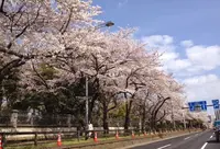イギリス大使館の写真・動画_image_171270