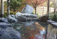 比良とぴあの写真・動画_image_176317