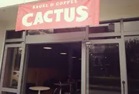 LITTLE CACTUSの写真・動画_image_194014