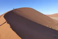 ナミブ砂漠の写真・動画_image_207089