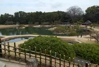 岡山後楽園の写真・動画_image_226384