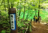 竜ヶ窪の池の写真・動画_image_259307