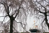 山下公園の写真・動画_image_301337