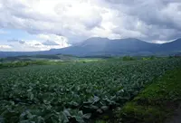 浅間山の写真・動画_image_405671