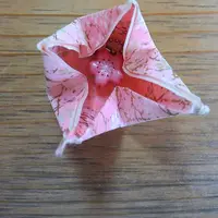 足羽神社の写真・動画_image_44304