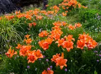 小田の写真・動画_image_184177