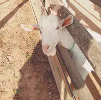別所岳スカイデッキ 能登ゆめてらすの写真・動画_image_216416