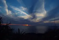 雄島の写真・動画_image_19224