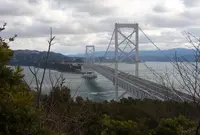 渦の道の写真・動画_image_22046