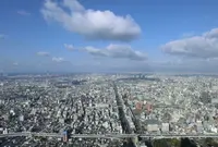 SKY GARDEN 300の写真・動画_image_22100