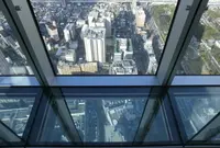 SKY GARDEN 300の写真・動画_image_22101