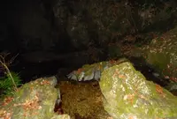 八王子城跡の写真・動画_image_22861