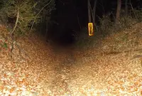 道了堂跡の写真・動画_image_22869