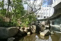 レトロ食堂街 滝見小路の写真・動画_image_23573