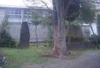 港住吉神社の写真・動画_image_24525
