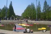 花博記念公園鶴見緑地の写真・動画_image_25239