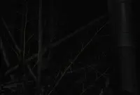 不知森神社の写真・動画_image_25592