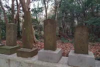 千葉県立船橋県民の森の写真・動画_image_25614