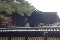 新日吉神宮の写真・動画_image_26931