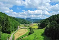 がいせん桜通りの写真・動画_image_27076
