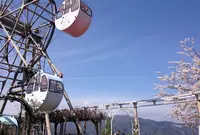 天橋立ビューランドの写真・動画_image_27500