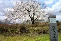 九戸城跡の写真・動画_image_28215