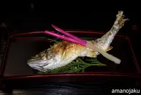 黒川温泉の写真・動画_image_28593