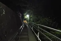 名越切通の写真・動画_image_29581