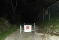 名越切通の写真・動画_image_29582