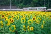 宝蔵寺の写真・動画_image_34564