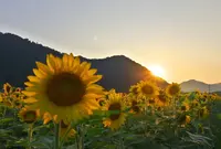 宝蔵寺の写真・動画_image_34565