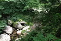中津ダムの写真・動画_image_35516