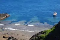 石垣島の写真・動画_image_35800