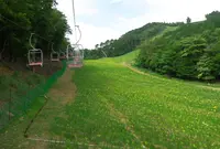 ちくさ高原ゆり園の写真・動画_image_36621