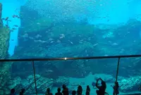 仙台うみの杜水族館の写真・動画_image_44032