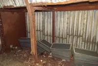 太白山トンネルの写真・動画_image_44108