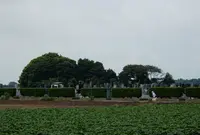 磯崎駅の写真・動画_image_44265