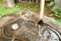 グリーンエコー笠形の写真・動画_image_47062