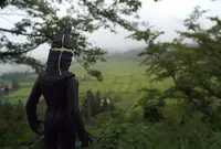 椹平の棚田の写真・動画_image_47191