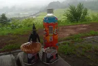 一本松公園の写真・動画_image_47198