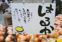 SAISAICAFEの写真・動画_image_48857
