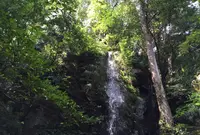 飯盛寺不動滝の写真・動画_image_51864